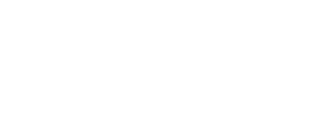 TFD Customs